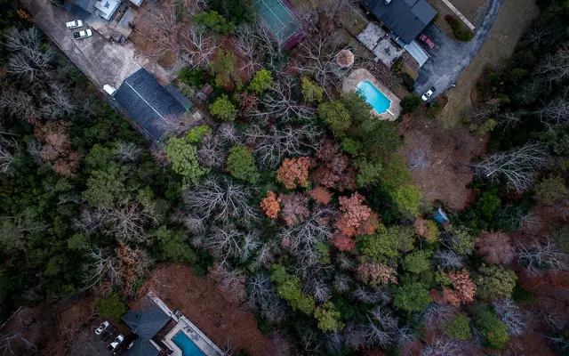 Aerial view of a wooded residential neighborhood